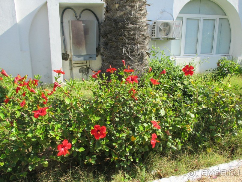 Хорошее впечатление.