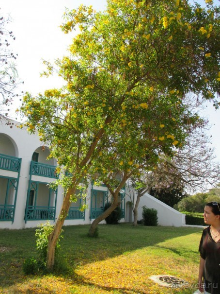 Хорошее впечатление.