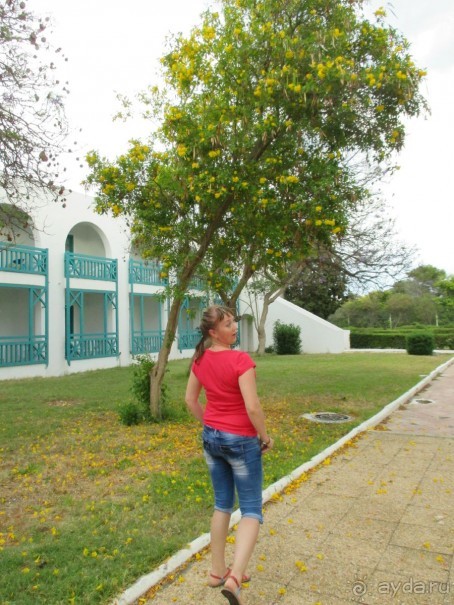 Хорошее впечатление.