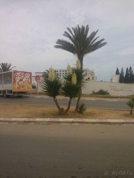 Хорошее впечатление.