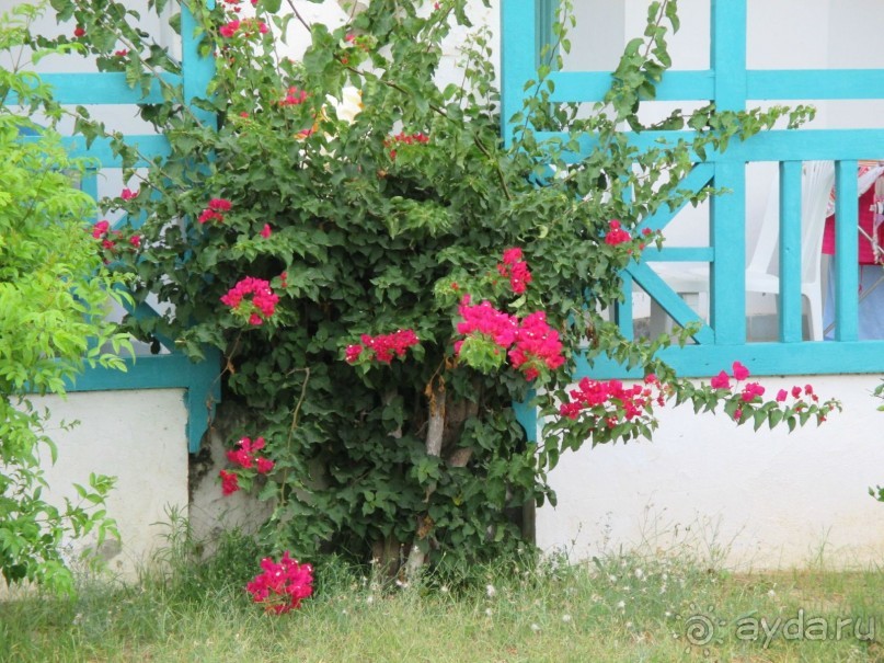 Хорошее впечатление.