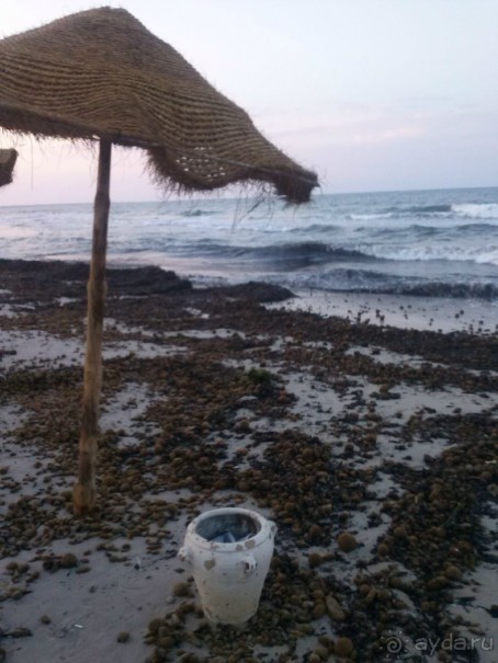 После дождя и шторма.