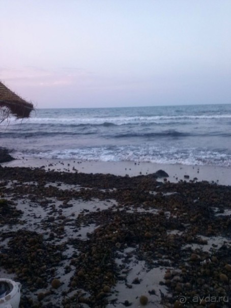 Хорошее впечатление.