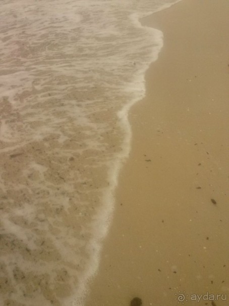 фото El Mouradi Cap Mahdia