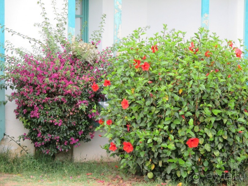 Хорошее впечатление.