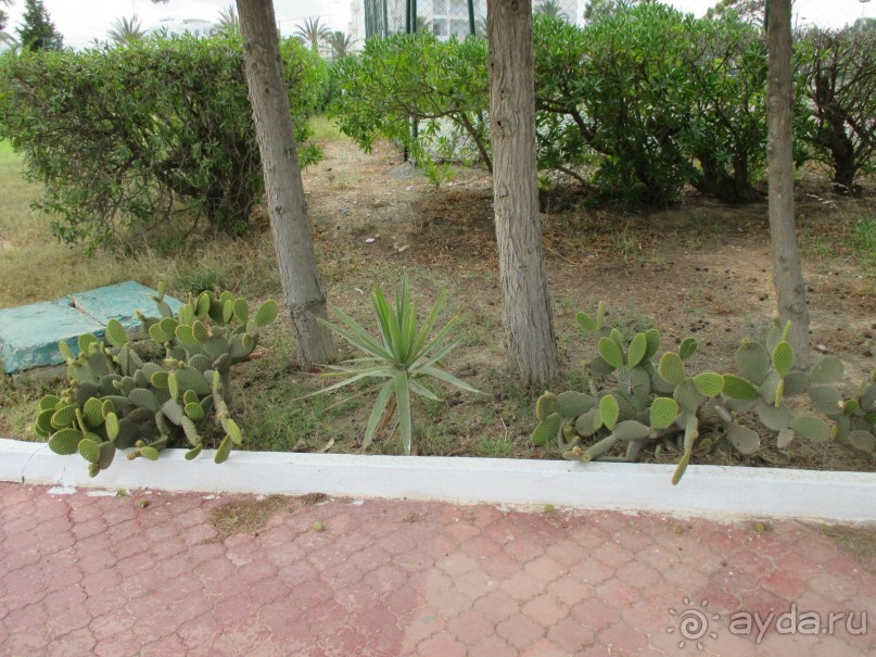 Хорошее впечатление.