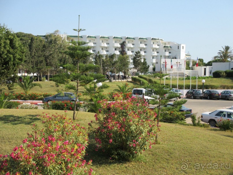 Хорошее впечатление.