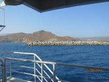 Баллос и Грамвуса. 