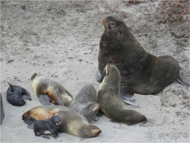 От Камчатки до Чукотки. Часть I