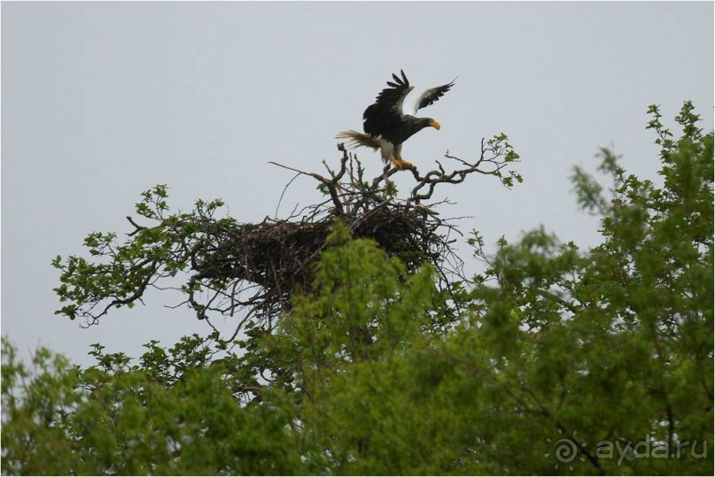 От Камчатки до Чукотки. Часть I