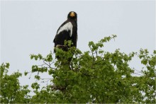 От Камчатки до Чукотки. Часть I