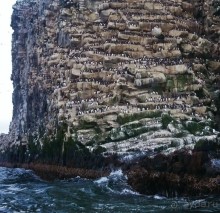 От Камчатки до Чукотки. Часть I