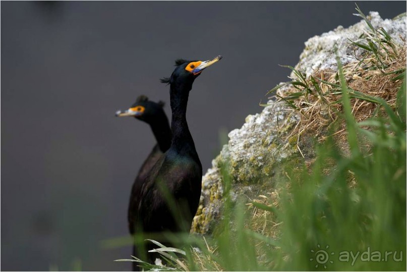 От Камчатки до Чукотки. Часть I