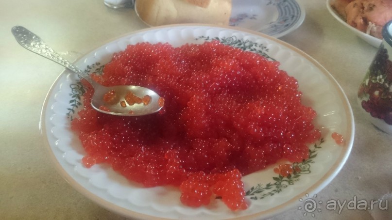 От Камчатки до Чукотки. Часть I