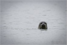 От Камчатки до Чукотки. Часть I