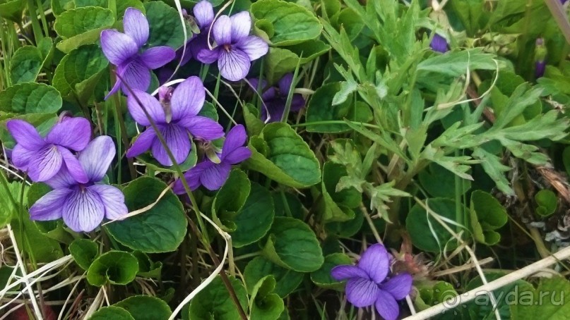 От Камчатки до Чукотки. Часть I