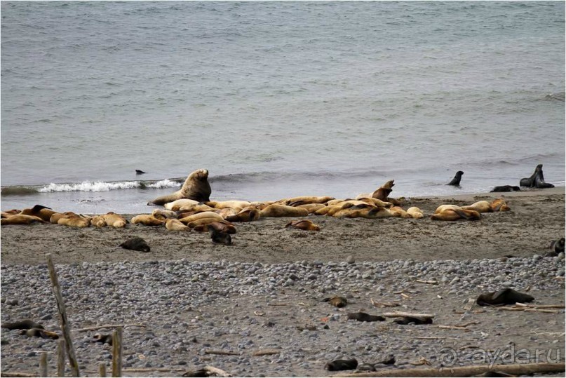 От Камчатки до Чукотки. Часть I