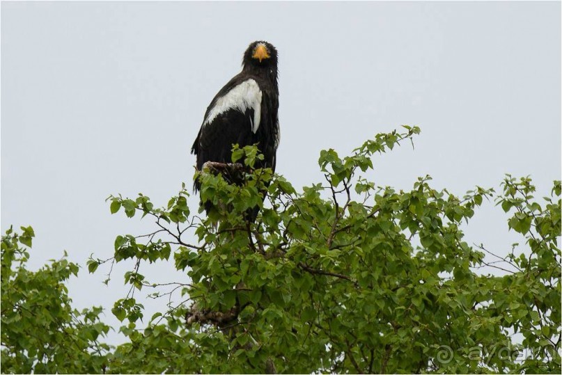 От Камчатки до Чукотки. Часть I