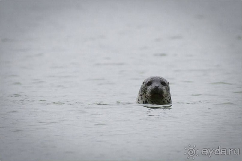 От Камчатки до Чукотки. Часть I