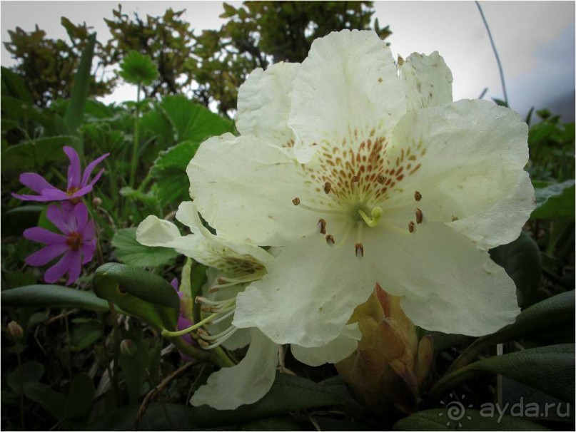 От Камчатки до Чукотки. Часть I