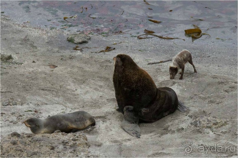 От Камчатки до Чукотки. Часть I