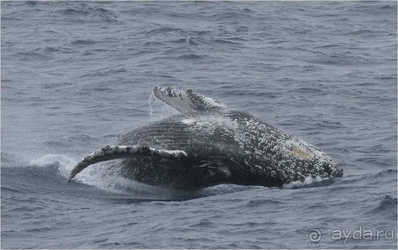 От Камчатки до Чукотки. Часть I