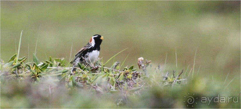 От Камчатки до Чукотки. Часть I