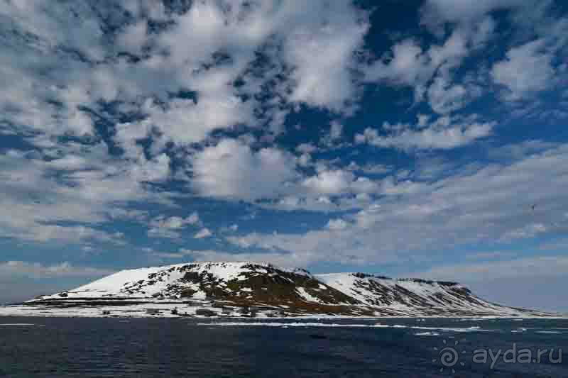 К Северному полюсу на ледоколе "50 лет Победы"