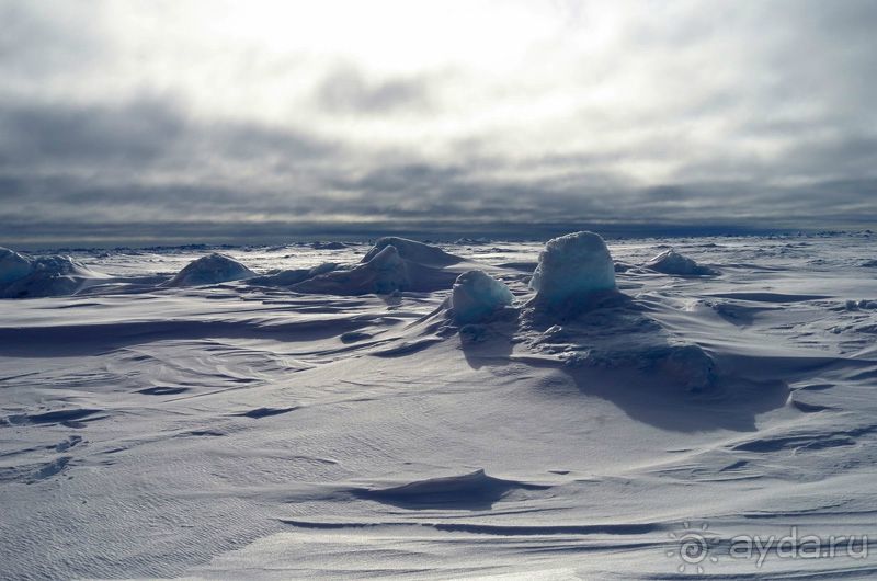 К Северному полюсу на ледоколе "50 лет Победы"