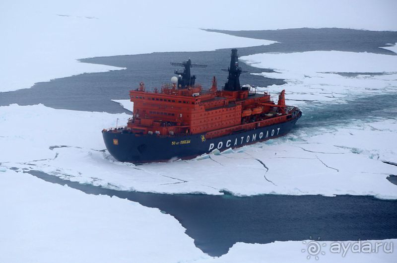 К Северному полюсу на ледоколе "50 лет Победы"