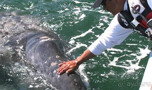 Мексика для фотографов и любителей природы