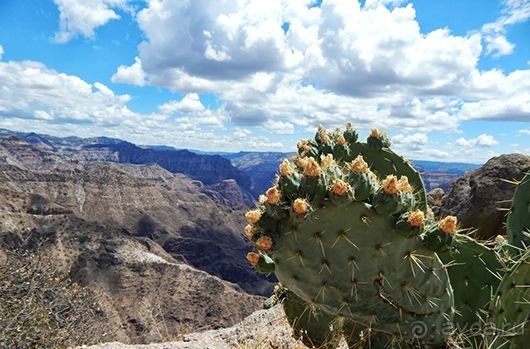Мексика для фотографов и любителей природы