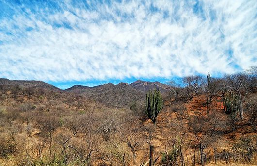 Мексика для фотографов и любителей природы