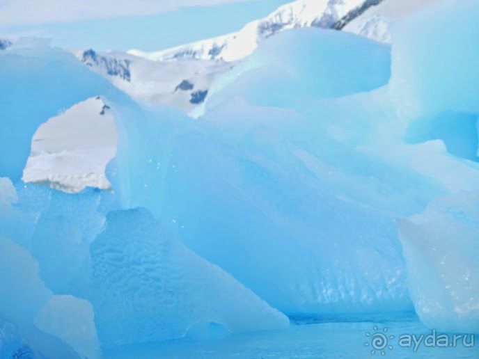 Русские в Антарктиде