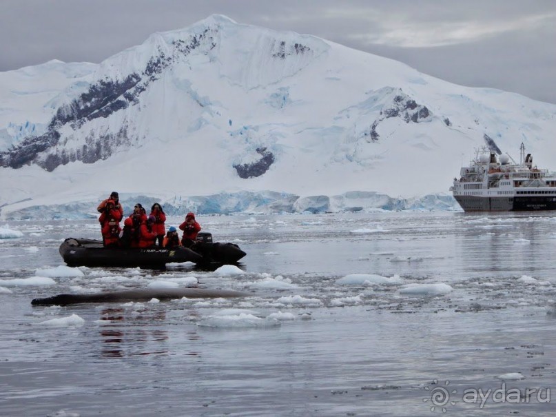 Русские в Антарктиде