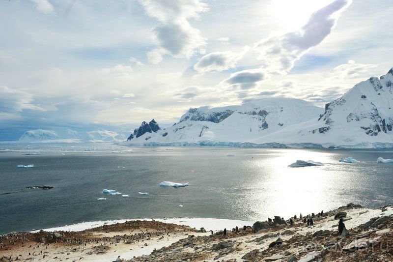 Анна Ивлева об экспедиции в Антарктику с Клубом путешествий Special