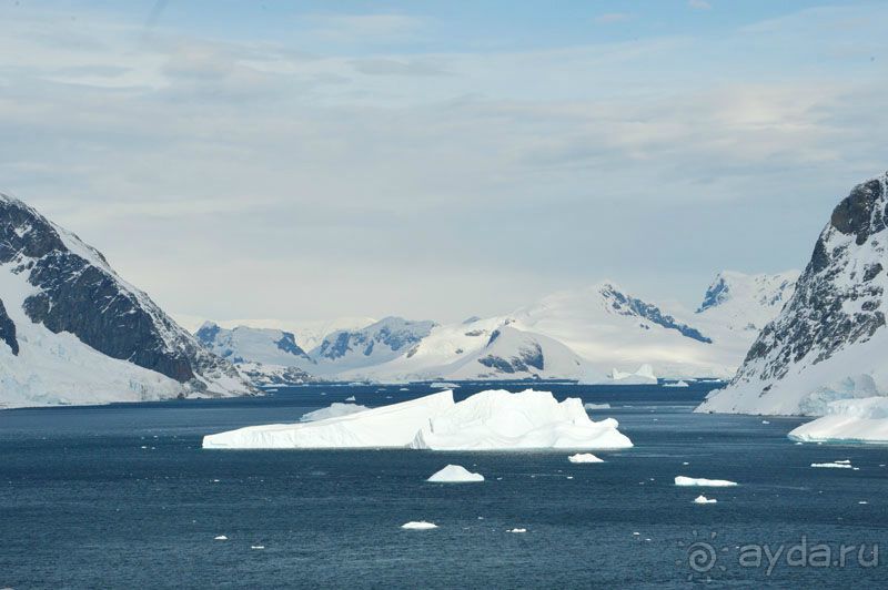 Анна Ивлева об экспедиции в Антарктику с Клубом путешествий Special