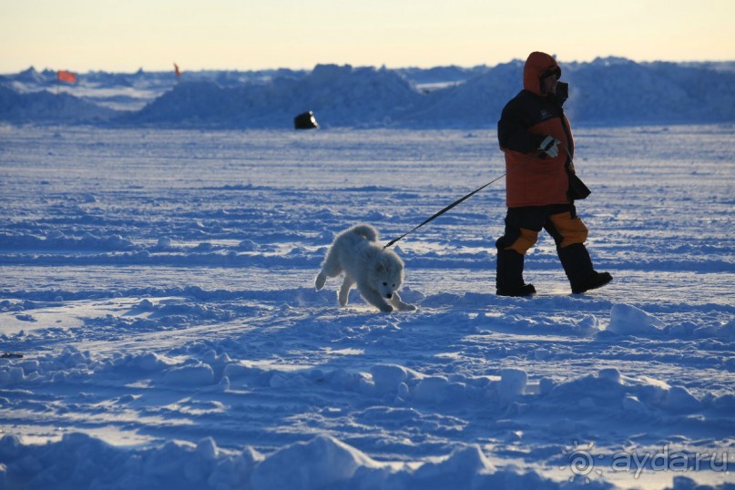 Вертолётный тур на Северный полюс и ледовый лагерь Барнео