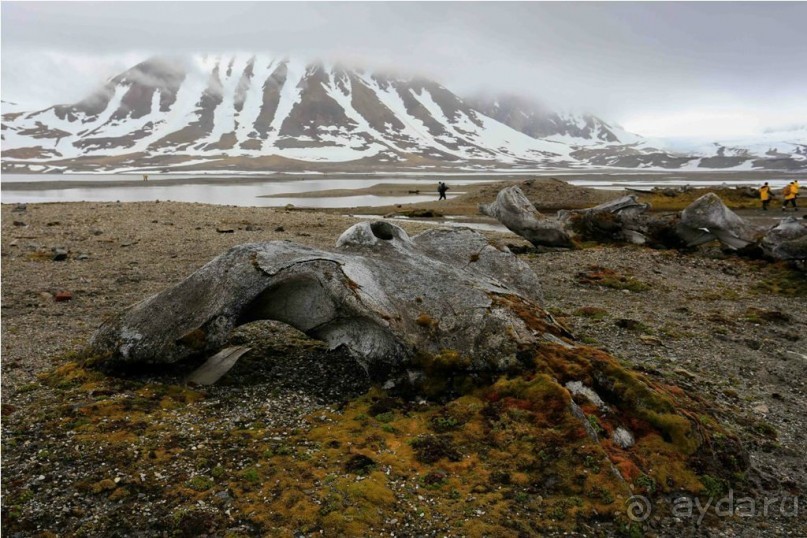 Исследование Шпицбергена 