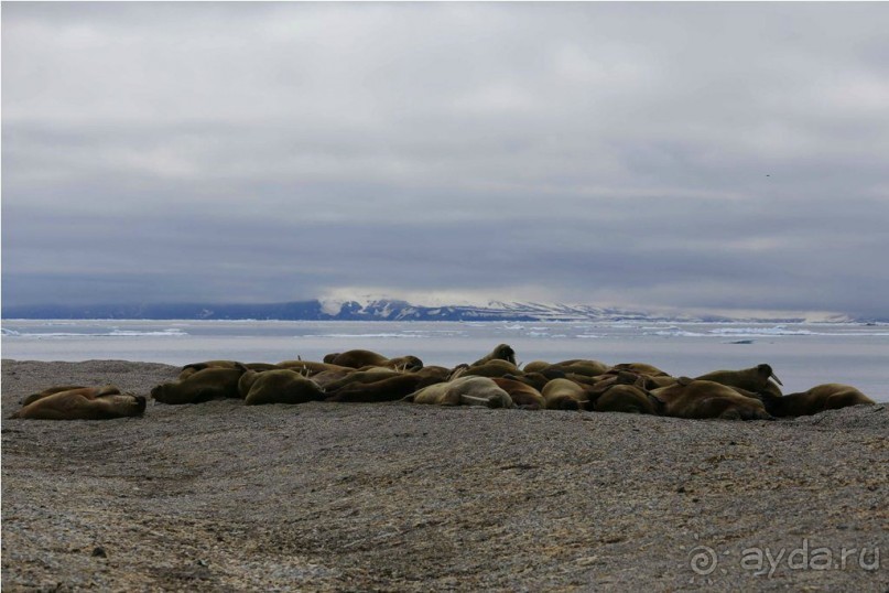 Исследование Шпицбергена 