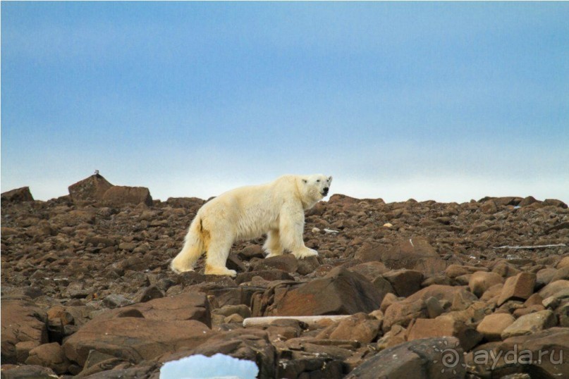 Исследование Шпицбергена 