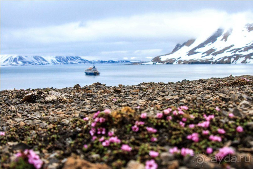 Исследование Шпицбергена 
