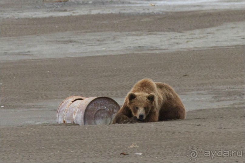 От Камчатки до Чукотки. Часть II