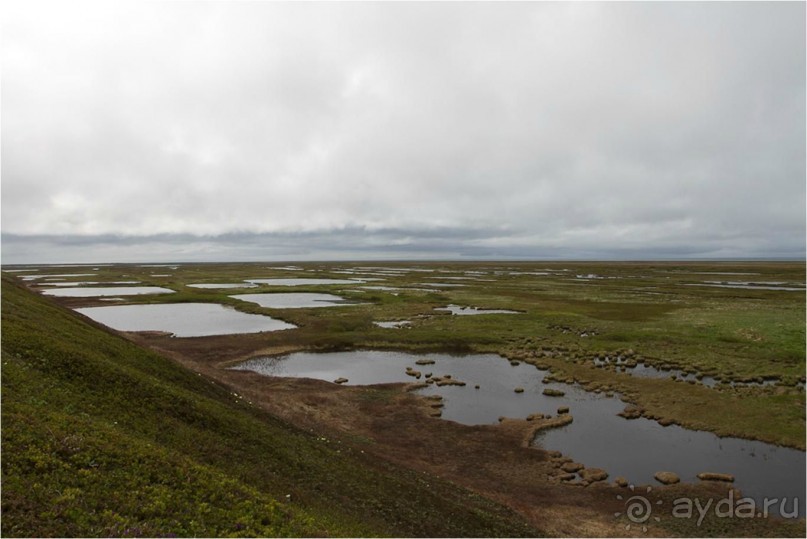 От Камчатки до Чукотки. Часть II
