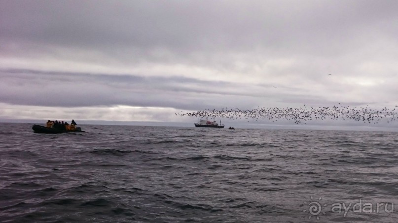 От Камчатки до Чукотки. Часть II