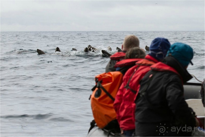 От Камчатки до Чукотки. Часть II
