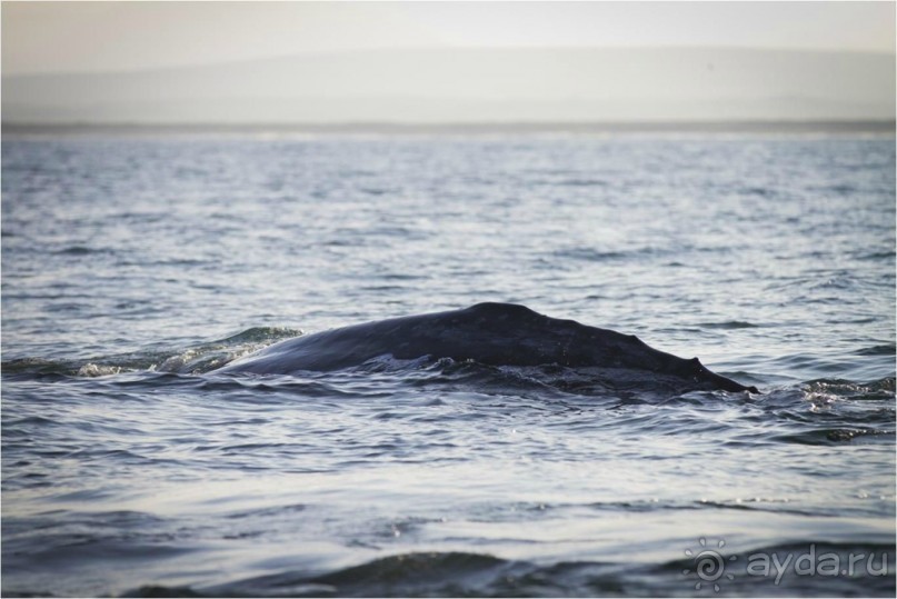 От Камчатки до Чукотки. Часть II