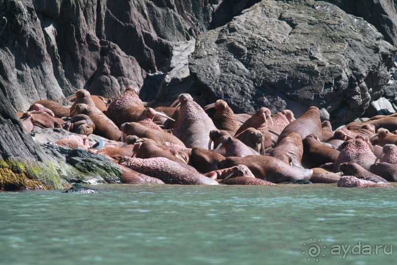 От Камчатки до Чукотки. Часть II
