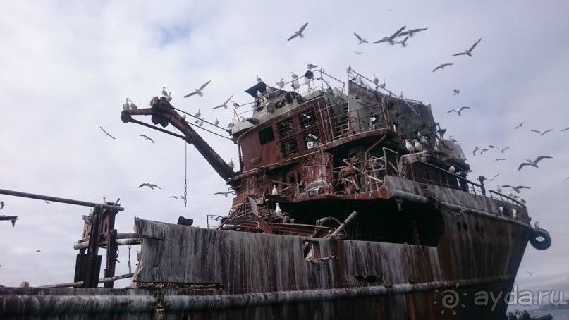 От Камчатки до Чукотки. Часть II