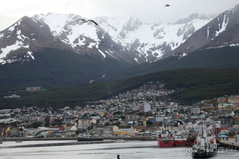 Новый год в Антарктиде с "Клубом путешествий Special". Рассказ Анастасии.